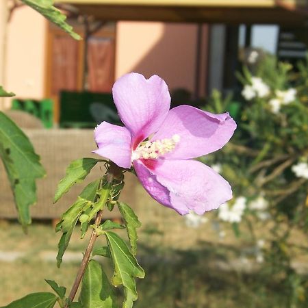 Agriturismo La Nocciolina เวนตูรีนา แตร์เม ภายนอก รูปภาพ