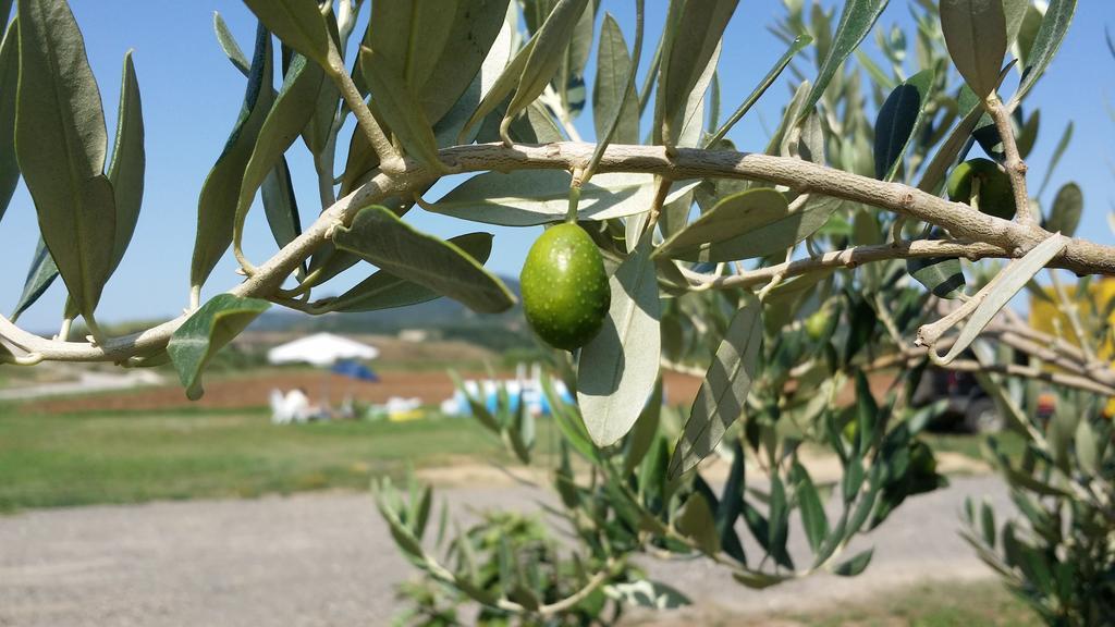 Agriturismo La Nocciolina เวนตูรีนา แตร์เม ภายนอก รูปภาพ