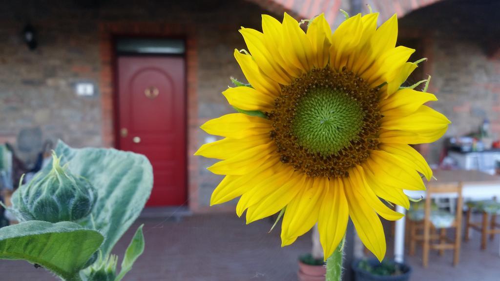 Agriturismo La Nocciolina เวนตูรีนา แตร์เม ภายนอก รูปภาพ