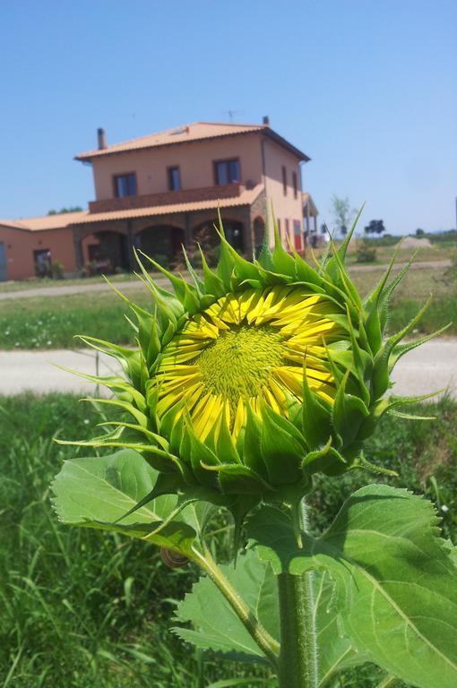 Agriturismo La Nocciolina เวนตูรีนา แตร์เม ภายนอก รูปภาพ