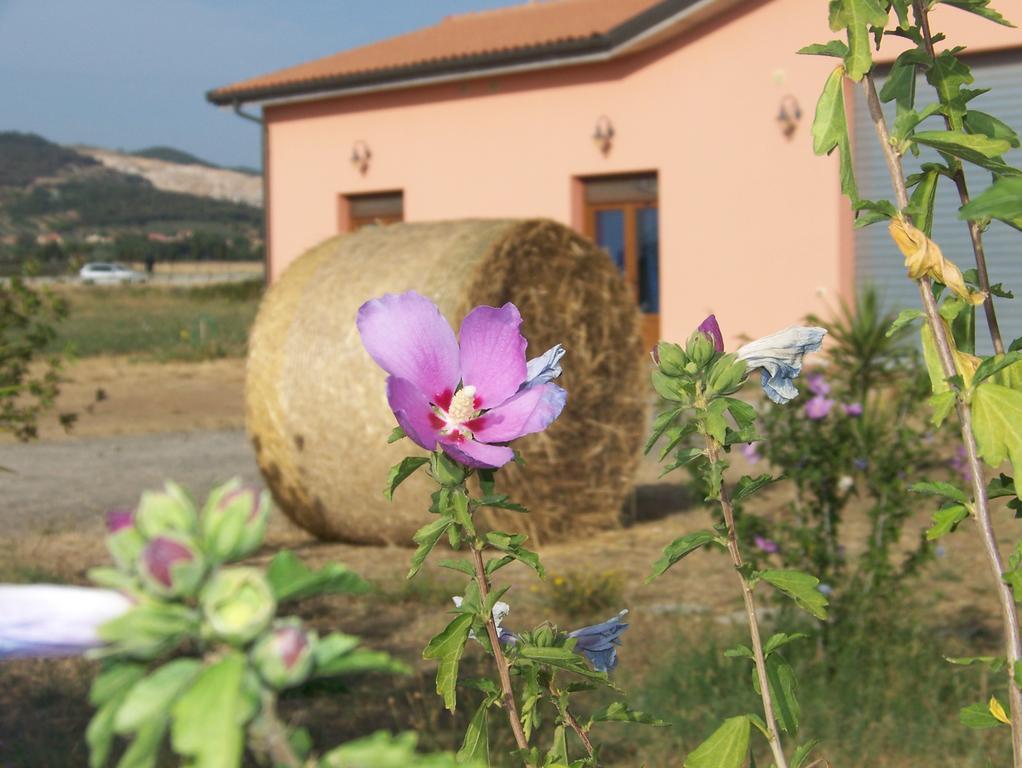 Agriturismo La Nocciolina เวนตูรีนา แตร์เม ภายนอก รูปภาพ