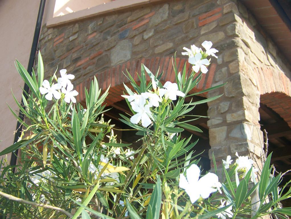 Agriturismo La Nocciolina เวนตูรีนา แตร์เม ภายนอก รูปภาพ